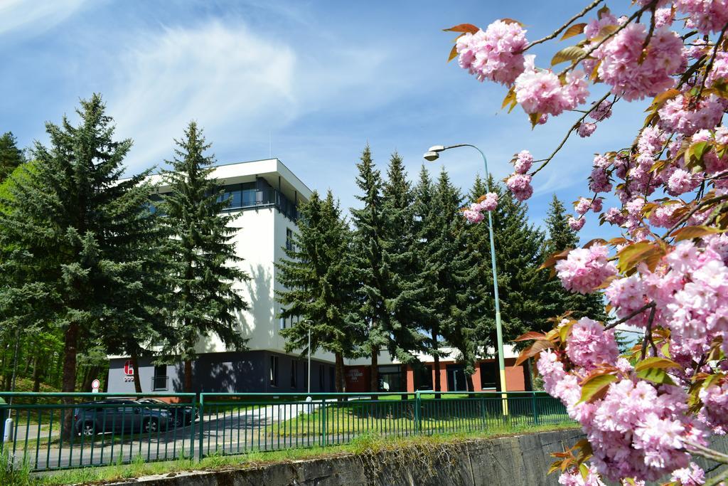 Parkhotel Carlsbad Inn Dalovice Exterior foto